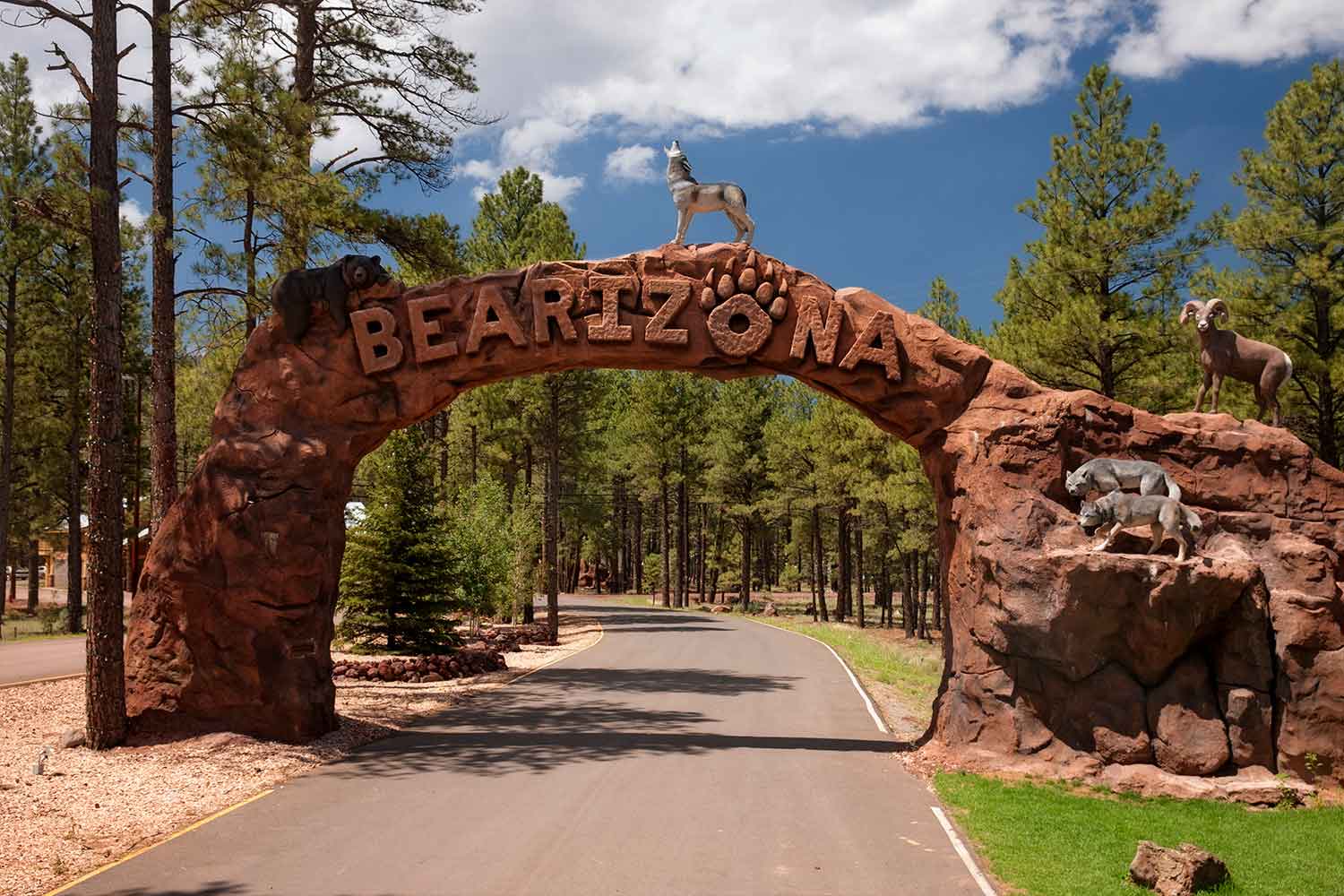 Bearizona Arch by Mike Jones | Arizona Attractions