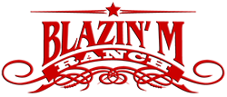 Blazin' M Ranch Logo | Arizona Attractions