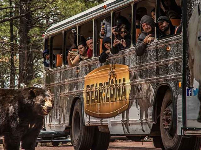Bearizona Wild Ride Bus Tour | Arizona Attractions