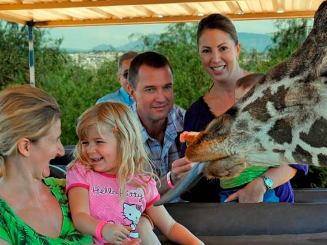 Out of Africa Family Fun | Things to do Arizona Out of Africa Family Fun | Things to do Arizona